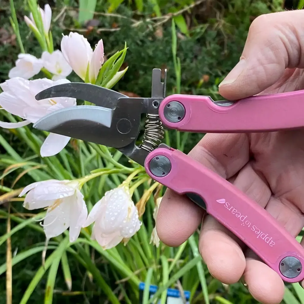 Apples To Pears Original Folding Pocket Secateurs - Various Colours Available