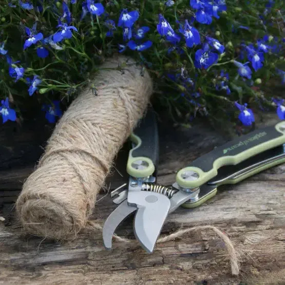 Apples To Pears Original Folding Pocket Secateurs - Various Colours Available